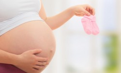 Cupidatat non proident