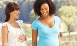 Excepteur sint occaecat